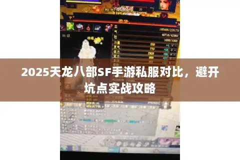 2025天龙八部SF手游私服对比，避开坑点实战攻略