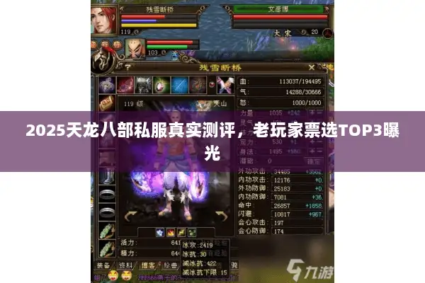 2025天龙八部私服真实测评，老玩家票选TOP3曝光