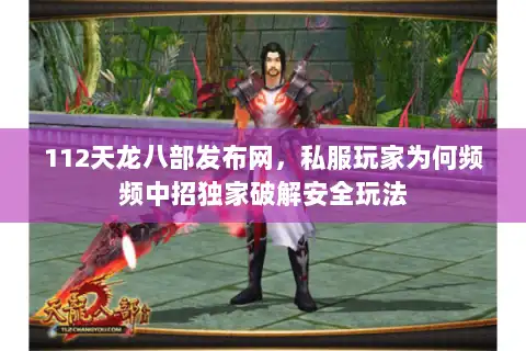 112天龙八部发布网，私服玩家为何频频中招独家破解安全玩法