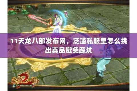 11天龙八部发布网，泛滥私服里怎么挑出真品避免踩坑