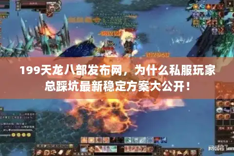 199天龙八部发布网，为什么私服玩家总踩坑最新稳定方案大公开！