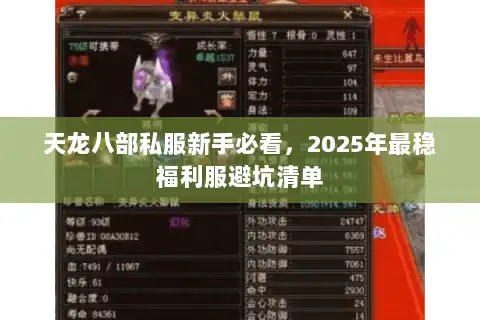 天龙八部私服新手必看,2025年最稳福利服避坑清单 天龙八部私服新手必看,2025年最稳福利服避坑清单