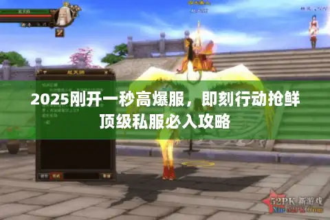 2025刚开一秒高爆服,即刻行动抢鲜顶级私服必入攻略 2025刚开一秒高爆服,即刻行动抢鲜顶级私服必入攻略