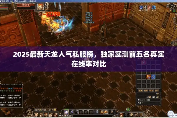 2025最新天龙人气私服榜，独家实测前五名真实在线率对比