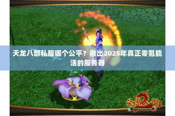 天龙八部私服哪个公平？揪出2025年真正零氪能活的服务器