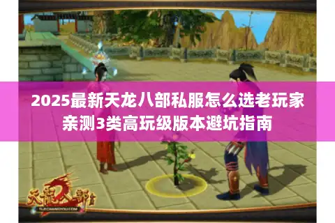 2025最新天龙八部私服怎么选老玩家亲测3类高玩级版本避坑指南 2025最新天龙八部私服怎么选老玩家亲测3类高玩级版本避坑指南