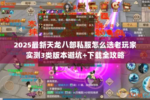2025最新天龙八部私服怎么选老玩家实测3类版本避坑+下载全攻略