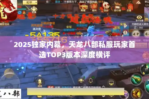 2025独家内幕，天龙八部私服玩家首选TOP3版本深度横评