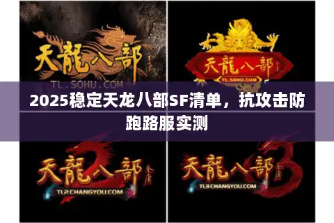 2025稳定天龙八部SF清单，抗攻击防跑路服实测