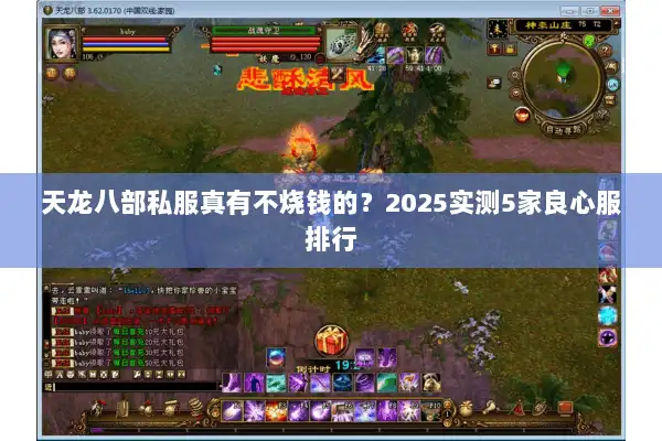 天龙八部私服真有不烧钱的?2025实测5家良心服排行 天龙八部私服真有不烧钱的?2025实测5家良心服排行