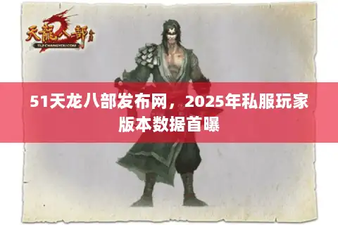 51天龙八部发布网，2025年私服玩家版本数据首曝