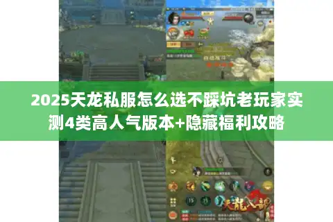 2025天龙私服怎么选不踩坑老玩家实测4类高人气版本+隐藏福利攻略
