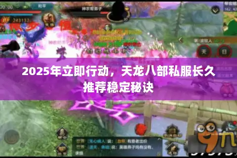 2025年立即行动，天龙八部私服长久推荐稳定秘诀