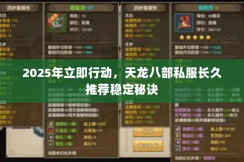 2025年立即行动，天龙八部私服长久推荐稳定秘诀