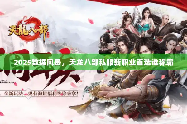2025数据风暴,天龙八部私服新职业首选谁称霸 2025数据风暴,天龙八部私服新职业首选谁称霸