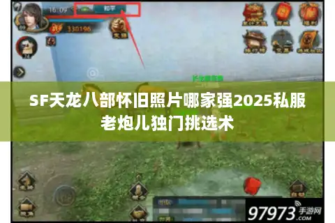 SF天龙八部怀旧照片哪家强2025私服老炮儿独门挑选术 SF天龙八部怀旧照片哪家强2025私服老炮儿独门挑选术