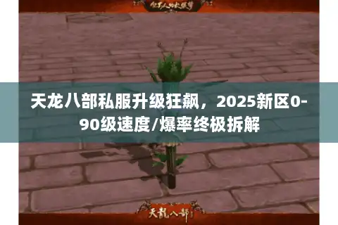 天龙八部私服升级狂飙，2025新区0-90级速度/爆率终极拆解