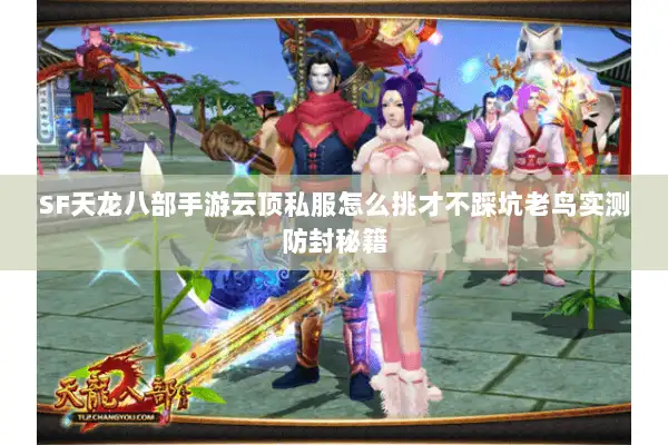 SF天龙八部手游云顶私服怎么挑才不踩坑老鸟实测防封秘籍