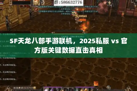 SF天龙八部手游联机，2025私服 vs 官方版关键数据直击真相