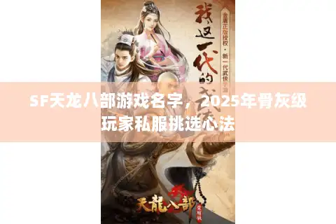 SF天龙八部游戏名字，2025年骨灰级玩家私服挑选心法