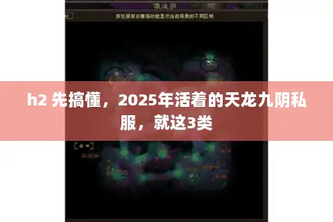 h2 先搞懂，2025年活着的天龙九阴私服，就这3类