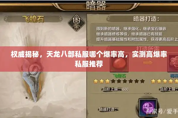 权威揭秘，天龙八部私服哪个爆率高，实测高爆率私服推荐