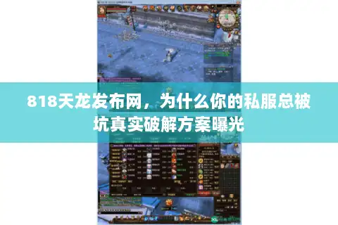 818天龙发布网，为什么你的私服总被坑真实破解方案曝光