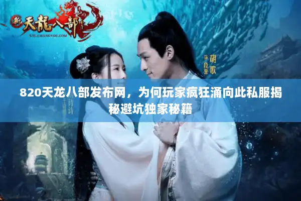 820天龙八部发布网，为何玩家疯狂涌向此私服揭秘避坑独家秘籍