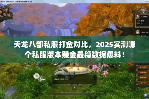 天龙八部私服打金对比，2025实测哪个私服版本赚金最稳数据爆料！