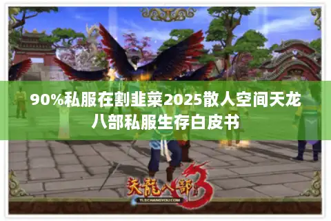 90%私服在割韭菜2025散人空间天龙八部私服生存白皮书