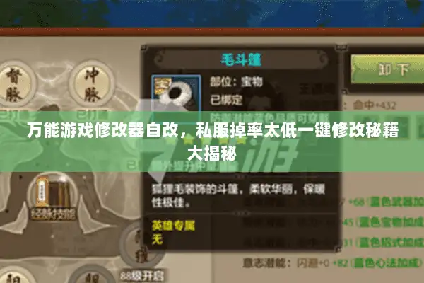 万能游戏修改器自改，私服掉率太低一键修改秘籍大揭秘