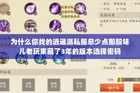 为什么你找的逍遥派私服总少点那股味儿老玩家藏了3年的版本选择密码