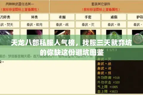 天龙八部私服人气榜，找服三天就弃坑的你缺这份避坑图鉴