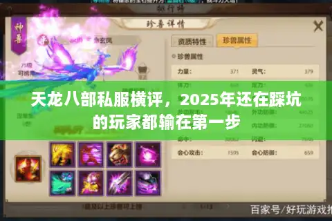 天龙八部私服横评，2025年还在踩坑的玩家都输在第一步