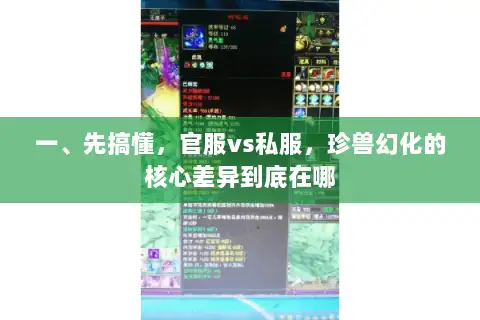 一、先搞懂，官服vs私服，珍兽幻化的核心差异到底在哪