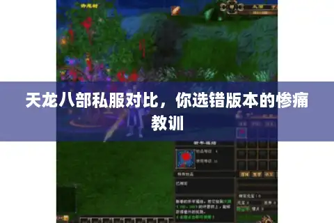 天龙八部私服对比,你选错版本的惨痛教训 天龙八部私服对比,你选错版本的惨痛教训