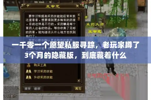 一千零一个愿望私服寻踪，老玩家蹲了3个月的隐藏版，到底藏着什么