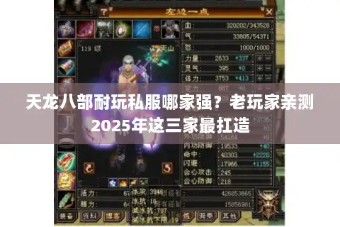 天龙八部耐玩私服哪家强？老玩家亲测2025年这三家最扛造