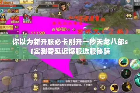 你以为新开服必卡刚开一秒天龙八部sf实测零延迟爆服选服秘籍