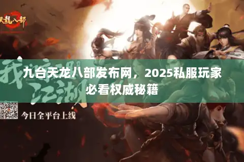 九台天龙八部发布网，2025私服玩家必看权威秘籍