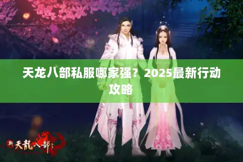 天龙八部私服哪家强？2025最新行动攻略