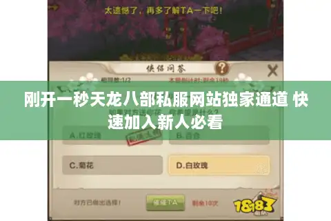 刚开一秒天龙八部私服网站独家通道 快速加入新人必看