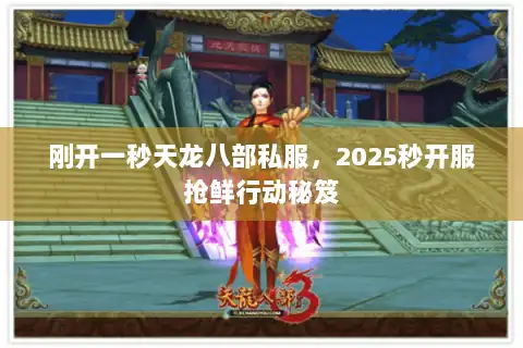 刚开一秒天龙八部私服，2025秒开服抢鲜行动秘笈
