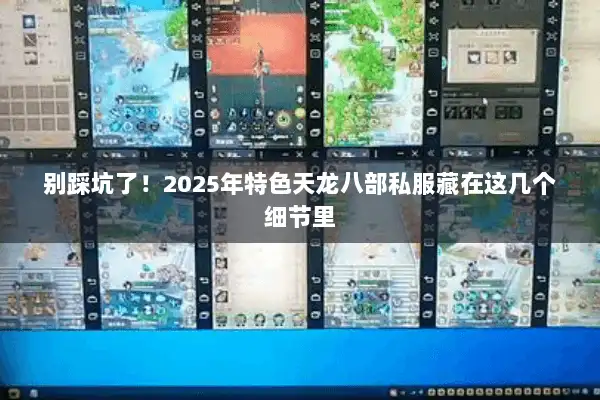 别踩坑了！2025年特色天龙八部私服藏在这几个细节里