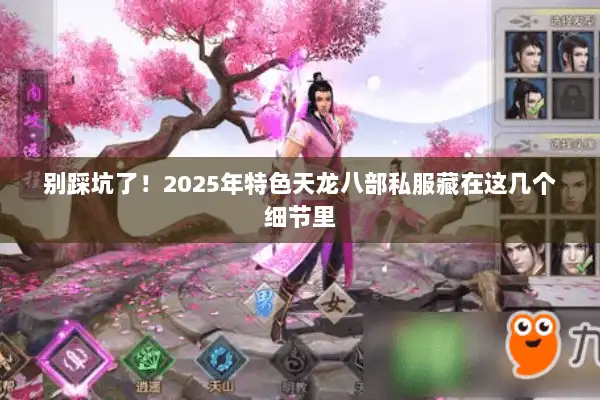 别踩坑了！2025年特色天龙八部私服藏在这几个细节里