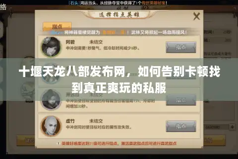 十堰天龙八部发布网，如何告别卡顿找到真正爽玩的私服