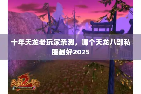 十年天龙老玩家亲测，哪个天龙八部私服最好2025