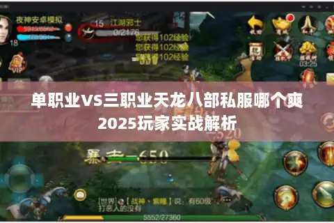 单职业VS三职业天龙八部私服哪个爽2025玩家实战解析 单职业VS三职业天龙八部私服哪个爽2025玩家实战解析