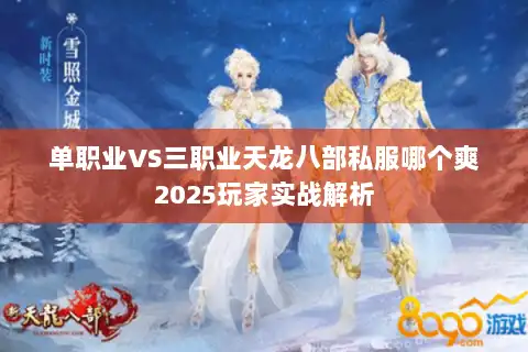 单职业VS三职业天龙八部私服哪个爽2025玩家实战解析 单职业VS三职业天龙八部私服哪个爽2025玩家实战解析