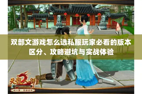 双部文游戏怎么选私服玩家必看的版本区分、攻略避坑与实战体验 双部文游戏怎么选私服玩家必看的版本区分、攻略避坑与实战体验